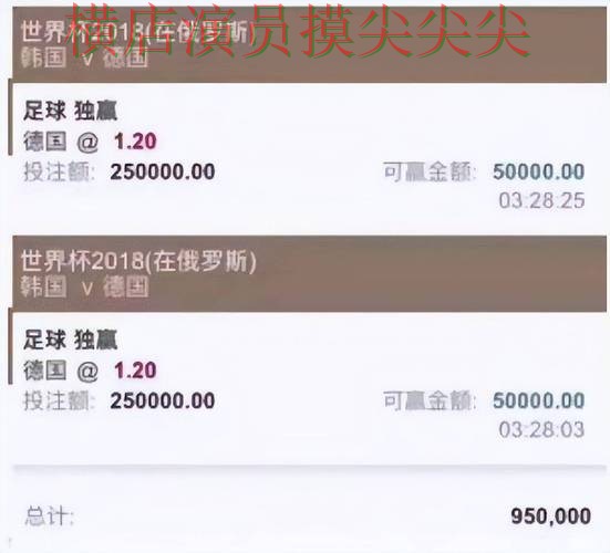 世界杯数据背景下的世界杯投注平台整理与用户反馈